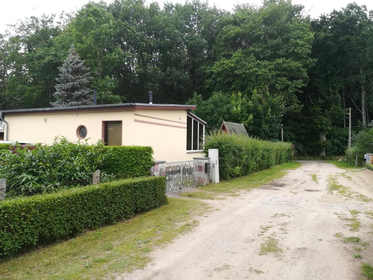 Ferienhaus Am Wald Loissin Exterior foto